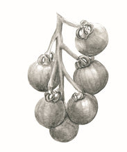 Încărcați imaginea în vizualizatorul galeriei, Roșie