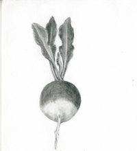 Load image into Gallery viewer, Radish