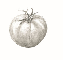 Încărcați imaginea în vizualizatorul galeriei, Roșie