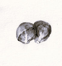 Load image into Gallery viewer, Green cabbage