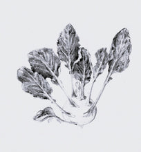 Load image into Gallery viewer, Green cabbage