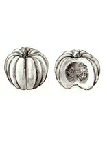 Load image into Gallery viewer, Pumpkin