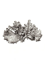 Încărcați imaginea în vizualizatorul galeriei, Salată verde