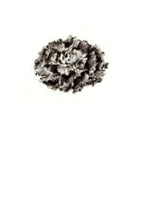 Încărcați imaginea în vizualizatorul galeriei, Salată verde