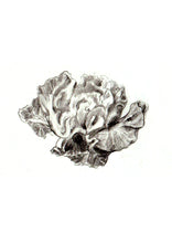 Load image into Gallery viewer, Green cabbage