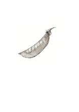 Încărcați imaginea în vizualizatorul galeriei, Mazăre