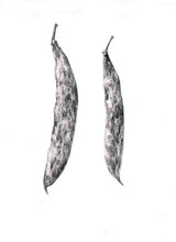 Încărcați imaginea în vizualizatorul galeriei, Fasole