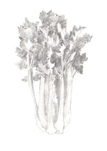 Încărcați imaginea în vizualizatorul galeriei, Țelină