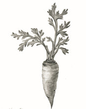 Load image into Gallery viewer, Carrot