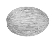 Load image into Gallery viewer, Melon