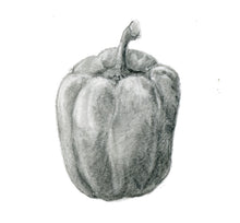 Încărcați imaginea în vizualizatorul galeriei, Ardei