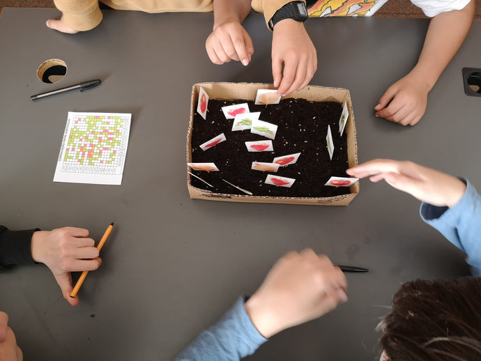 Planeamento da horta: consociação de Plantas