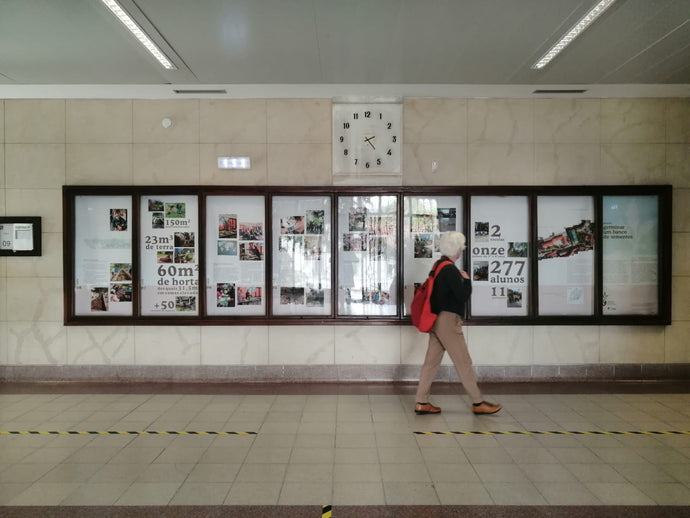 Exposição “Germinar um banco de sementes”